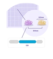 DNA Petterned Chip - STOmics